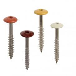 Fassadenschrauben 5,5 x 25 mm Kopflackierung 